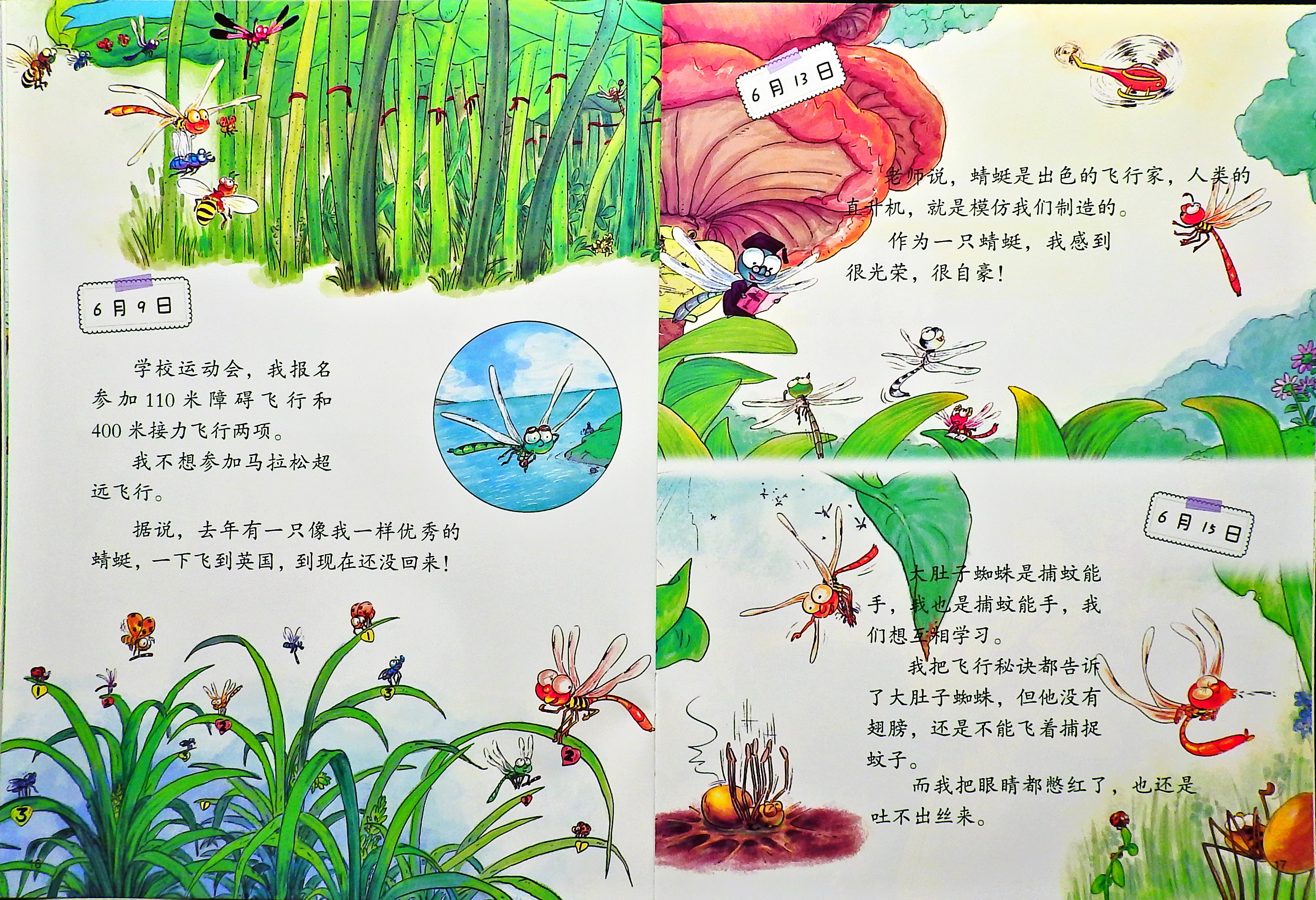 蜻蜓的日记 (10),绘本,绘本故事,绘本阅读,故事书,童书,图画书,课外阅读